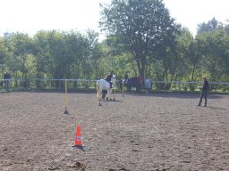 img_0227_web